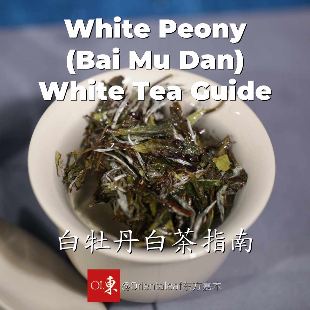 White Peony Tea: Unveiling the Delicate Flavor & Storied Elegance